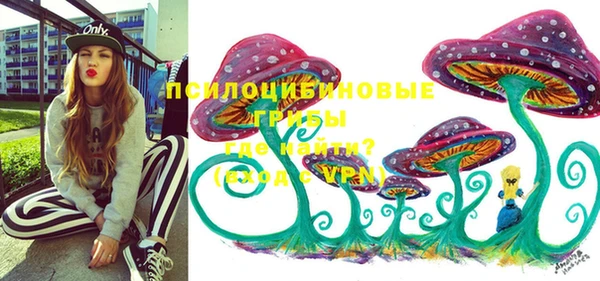 шишки Алексеевка