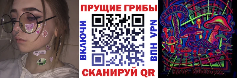 сколько стоит  Костерёво  Галлюциногенные грибы Psilocybe 